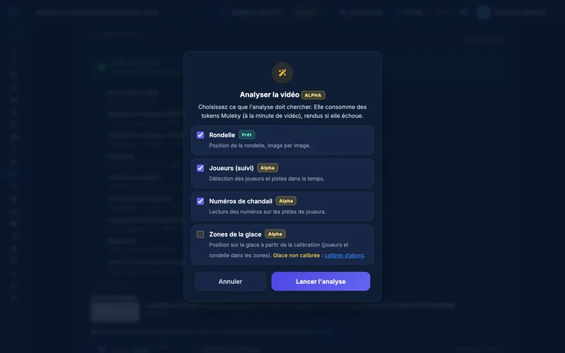 Analysis options: before launching the analysis of a real game, the coach checks what it should look for - puck (Ready), players, jersey numbers and rink zones (Alpha)